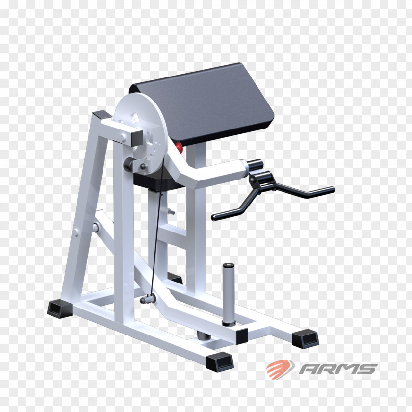 Barbell Exercise Machine Physical Fitness Yaguar-Sport Squat PNG