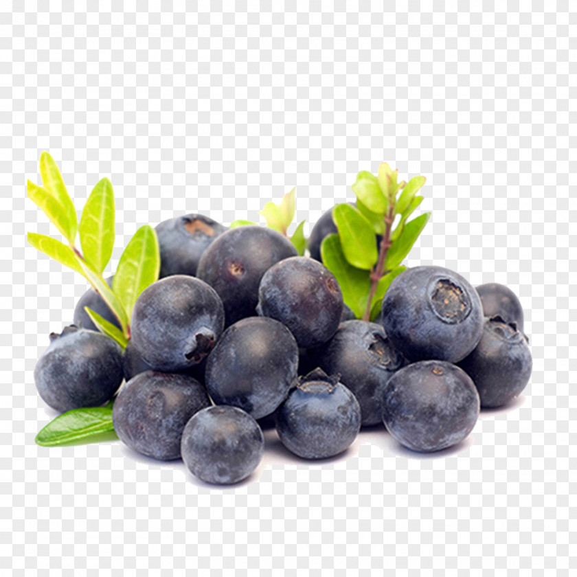 Blueberry Purple Juice Smoothie Vaccinium Corymbosum Health Amora PNG