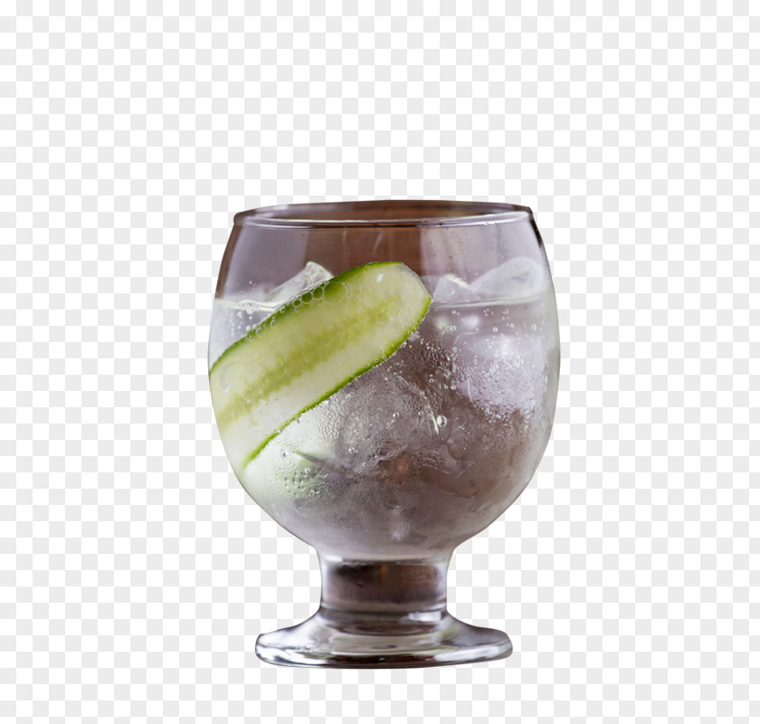 Cocktail Gin And Tonic Garnish Mint Julep Water PNG