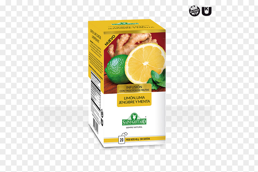 Lemon Ginger Tea Dietary Supplement Lime PNG