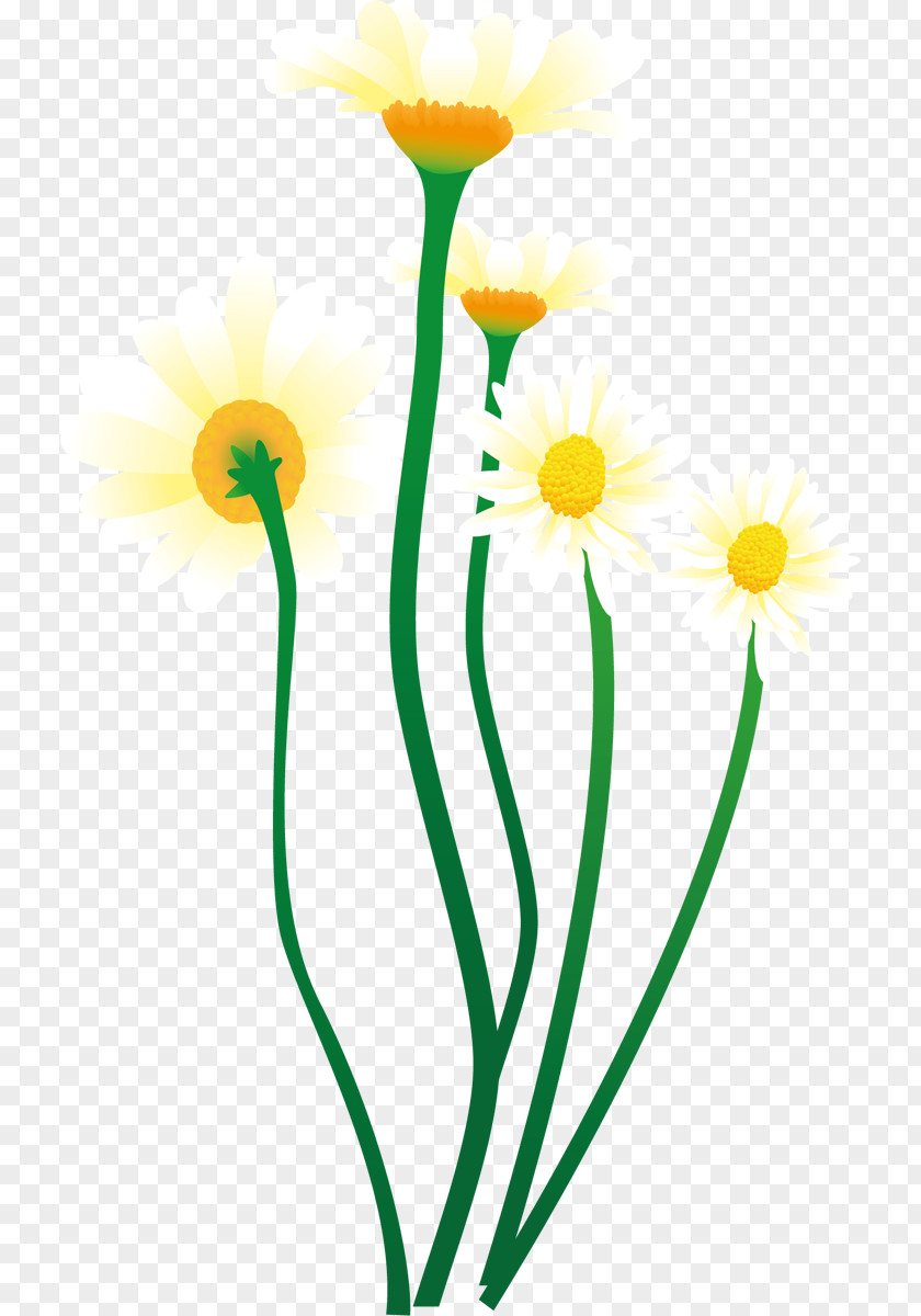 Line Cut Flowers Plant Stem Flowerpot Clip Art PNG