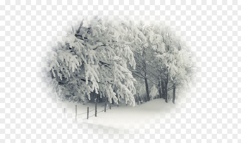 Snow Winter Storm Desktop Wallpaper 4K Resolution PNG