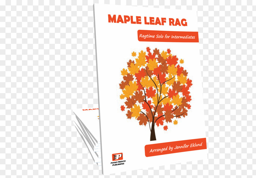 Tree Drawing Red Maple Autumn PNG