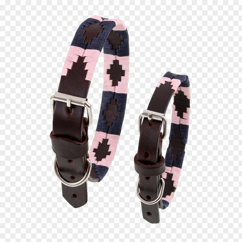 Belt Dog Collar Leather PNG