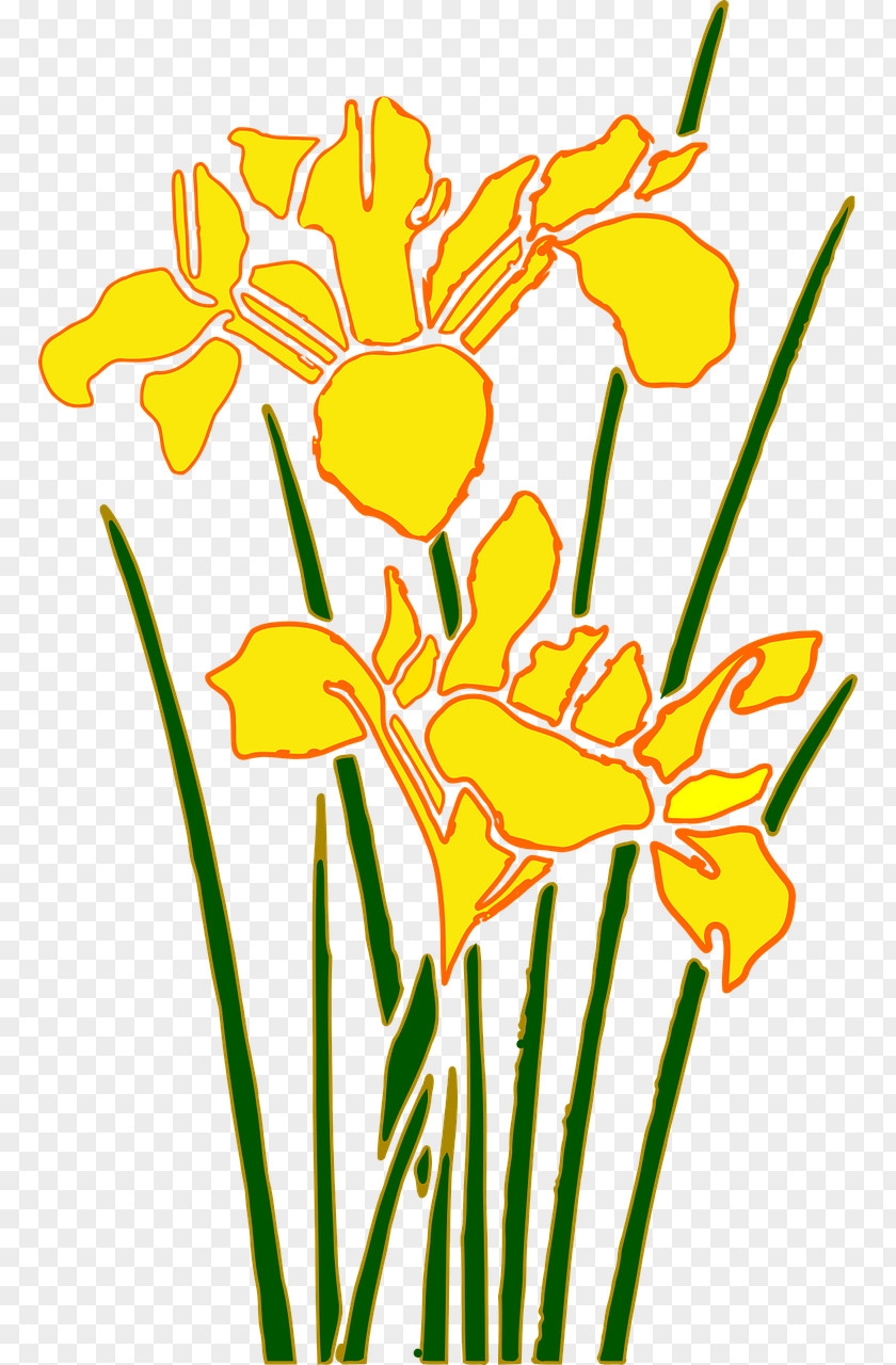 Daffodils Iris Download Desktop Wallpaper Clip Art PNG