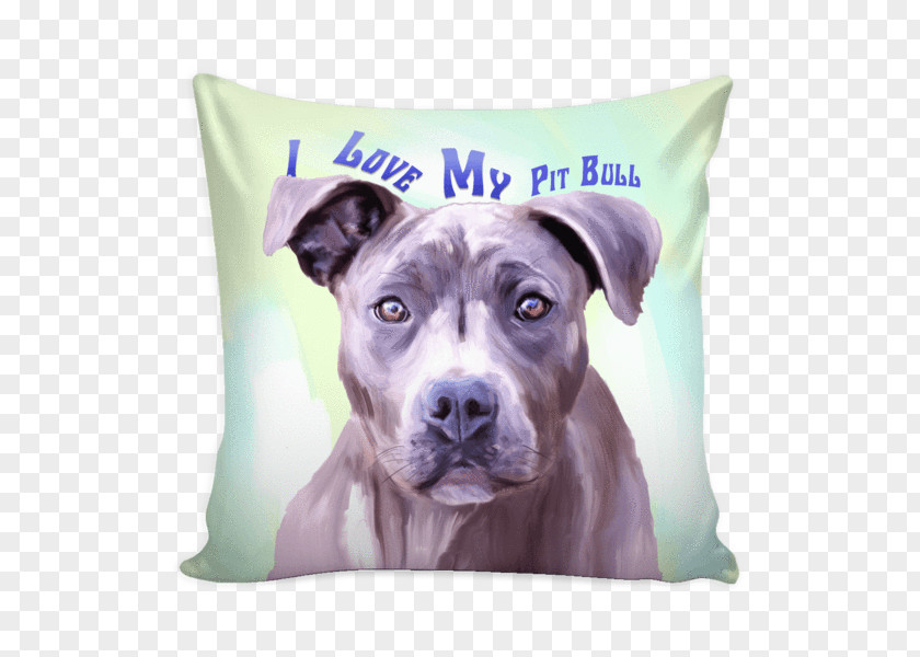 Pillow Throw Pillows Cushion Couch Bed PNG