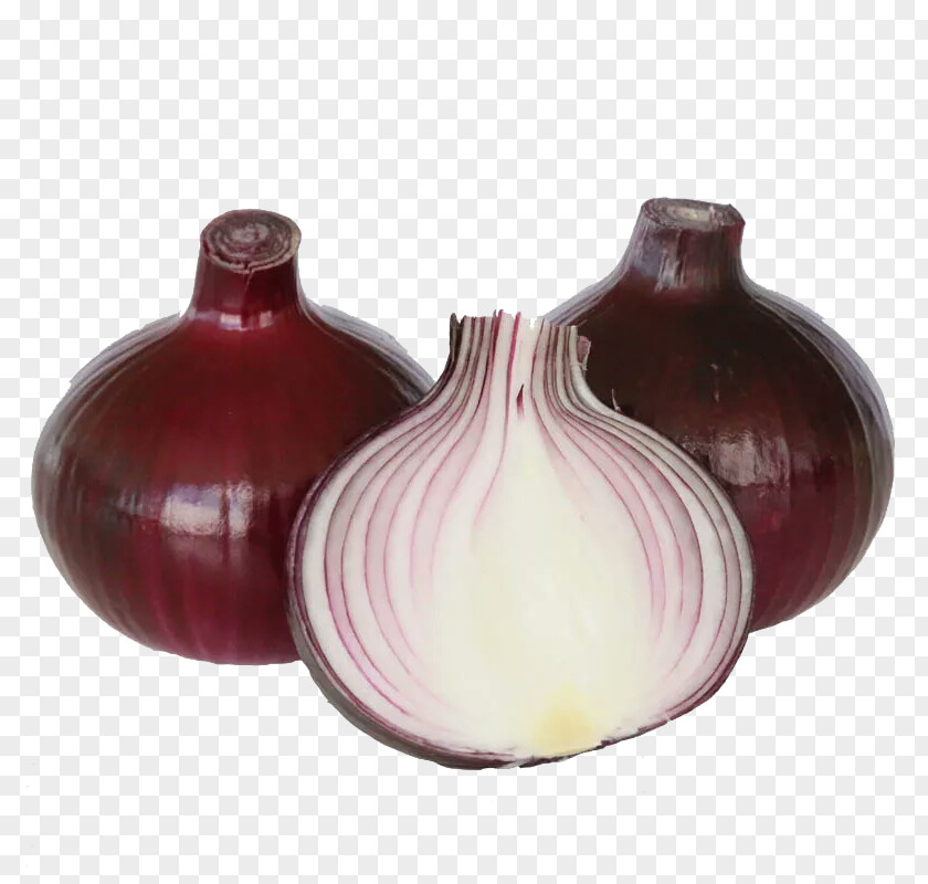 Purple Onion Red Vegetable PNG