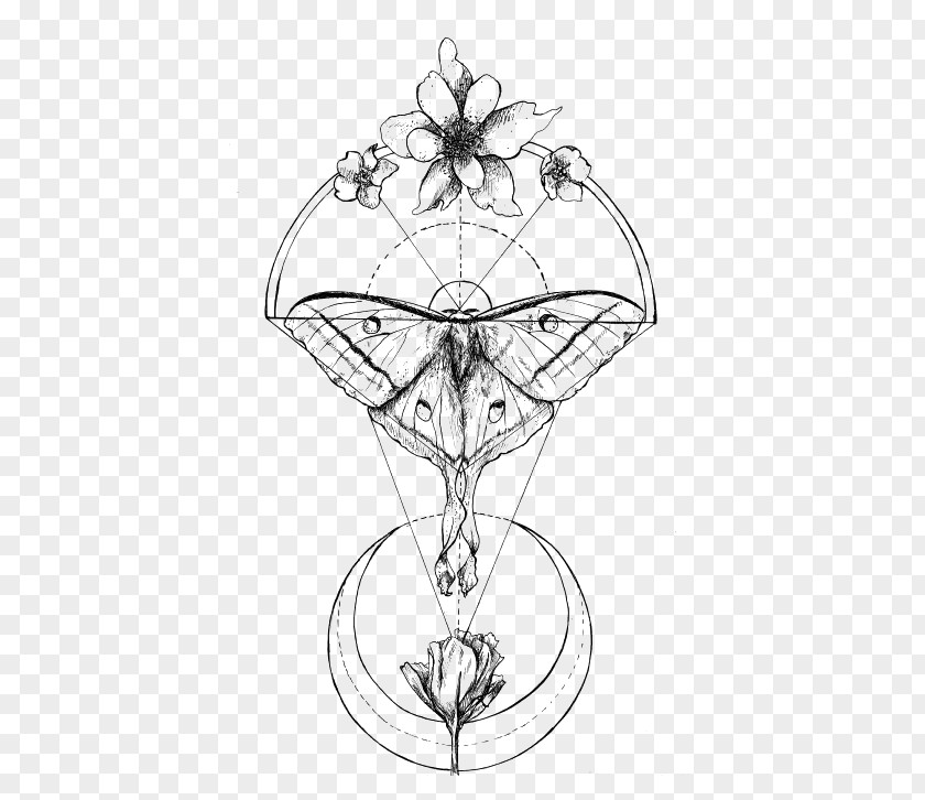 Retro Butterfly Luna Moth Tattoo Drawing Geometry PNG