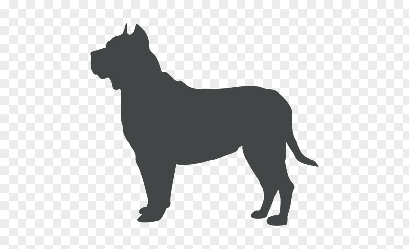 Side Vector American Pit Bull Terrier Dog Breed PNG