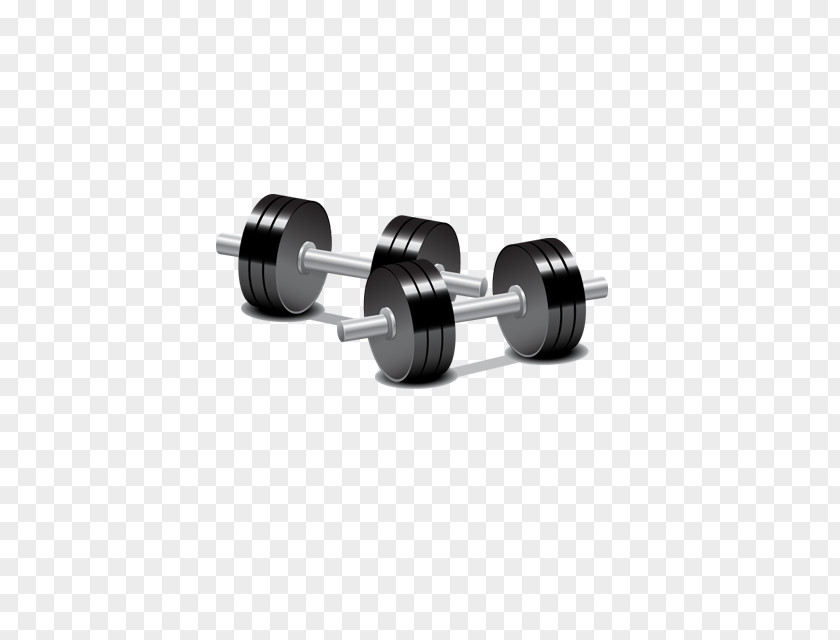 Vector Dumbbell Barbell Weight Training Physical Exercise PNG