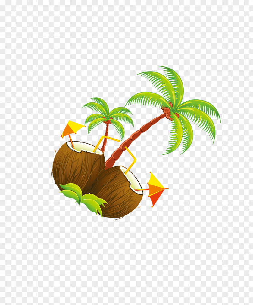 Coco Cartoon Coconut Tree Illustration PNG
