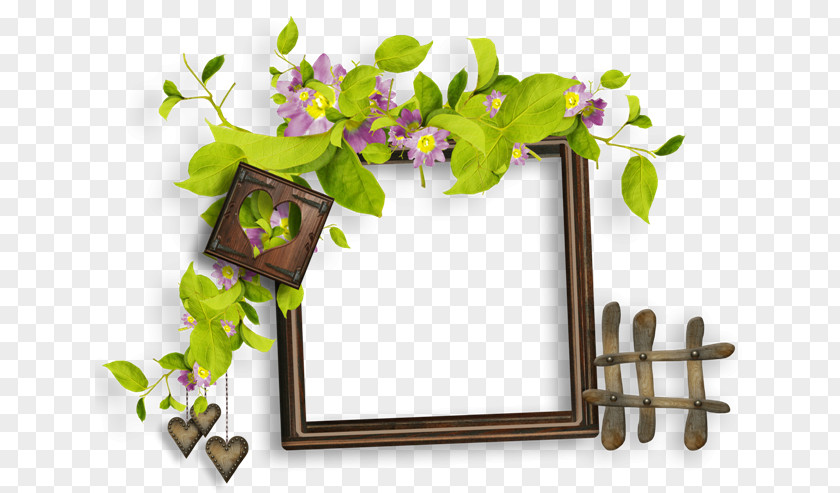 Flower Photography Clip Art PNG