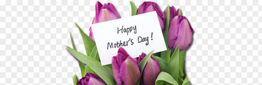 Mother's Day Gift Wish Greeting & Note Cards PNG
