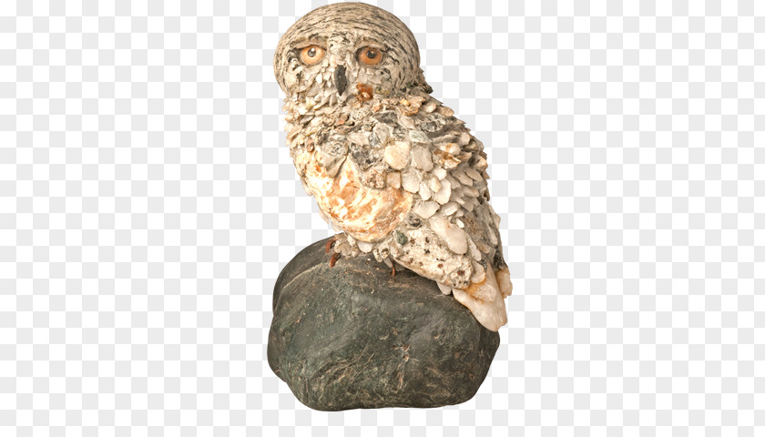 Snowy Owl Art Stone Carving Mythology Studio PNG