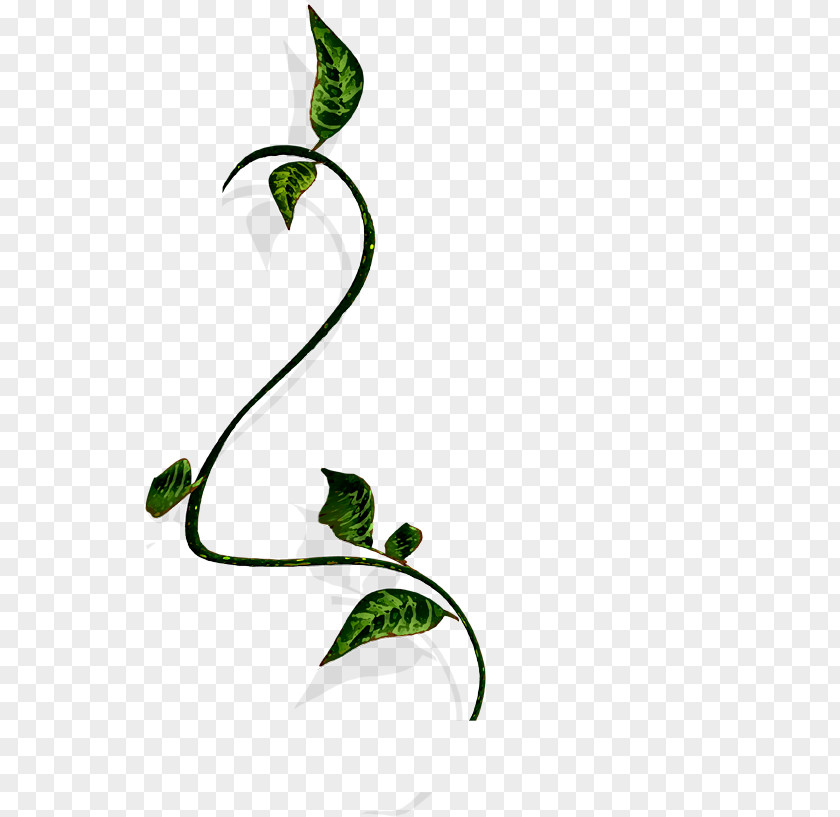 Twining Vine Wood Material Branch Clip Art PNG