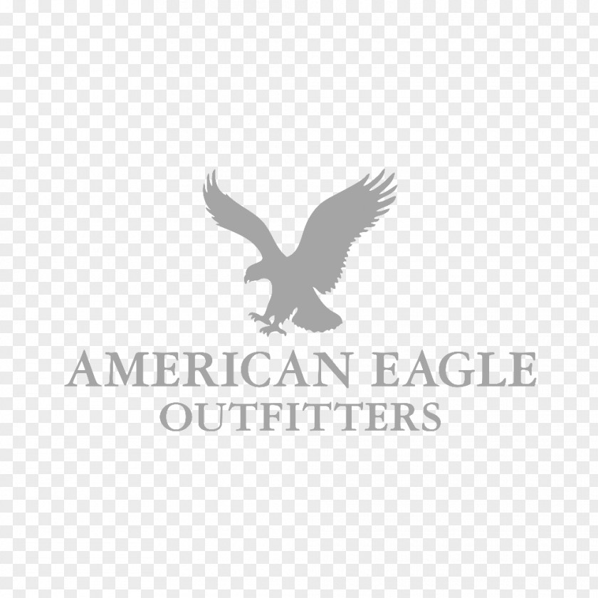 Bald Eagle Logo Font Brand American Outfitters PNG
