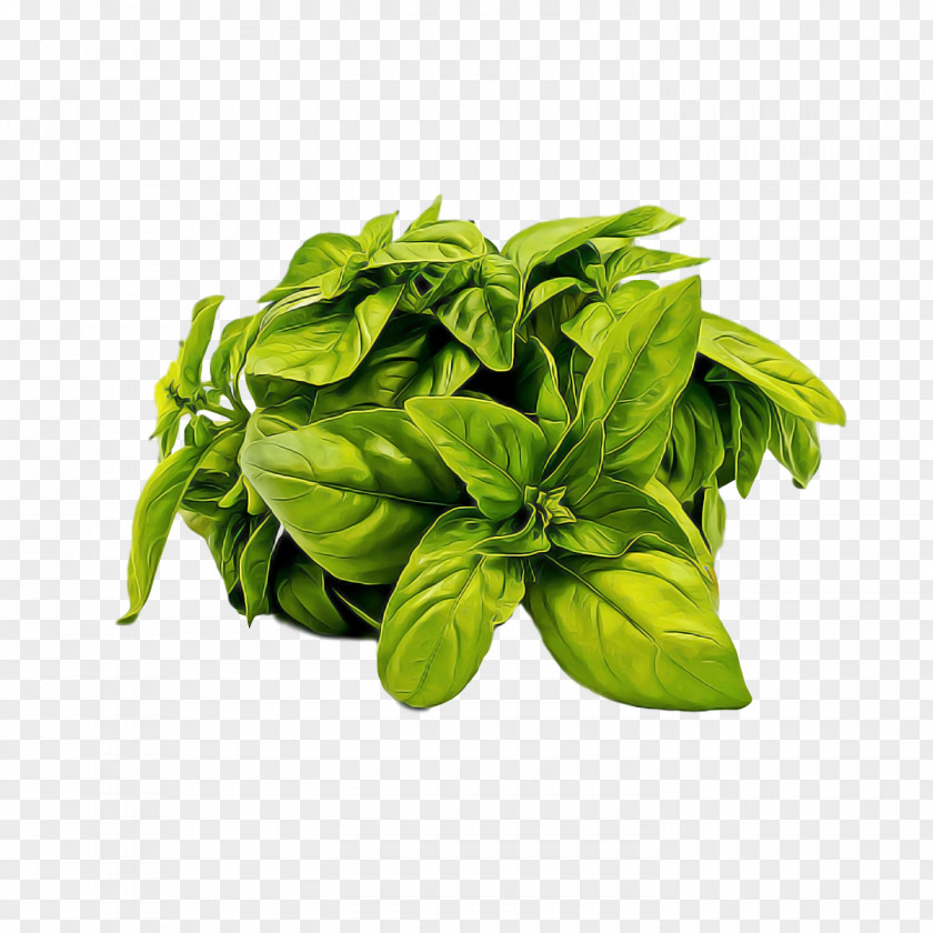 Basil Spinach Vegetarian Cuisine Lemon Pesto PNG