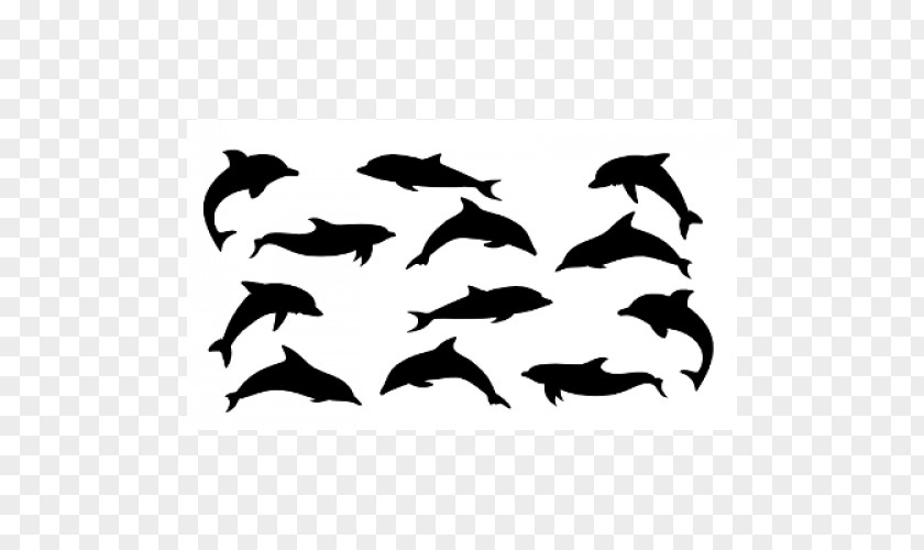 Dophin Pictures Dolphin Blog Clip Art PNG