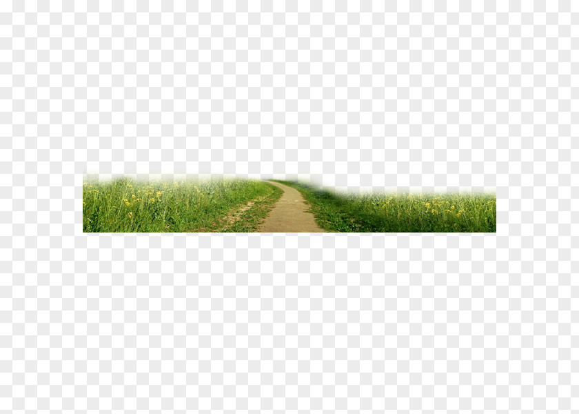 Green Grass Road To Pull Material Free Copyright Download Clip Art PNG