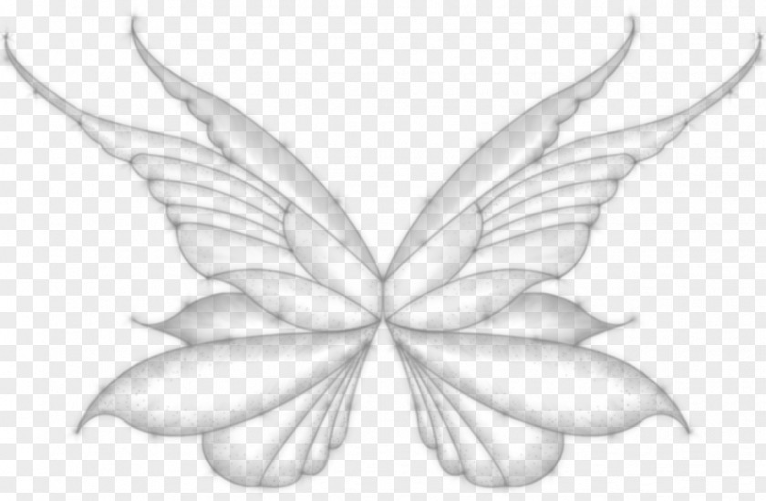 Line Art Petal White Leaf Sketch PNG