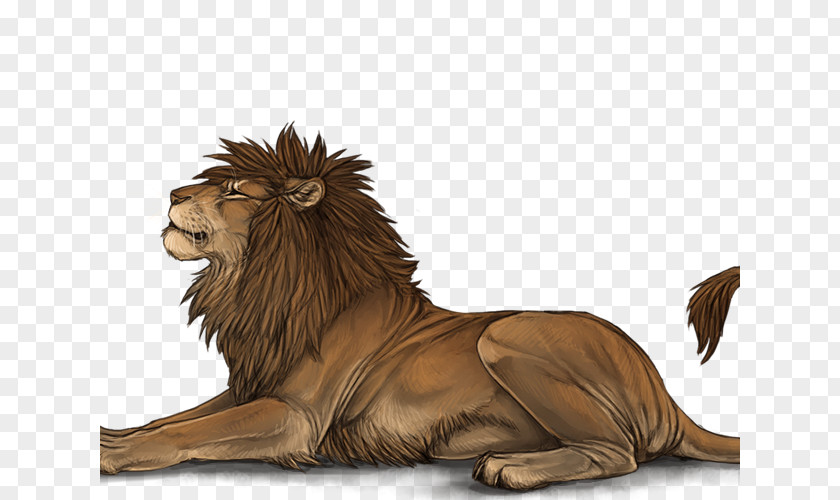Lion Roar Mane Big Cat Male PNG