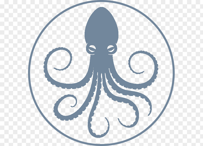 Octopus Squid Clip Art PNG