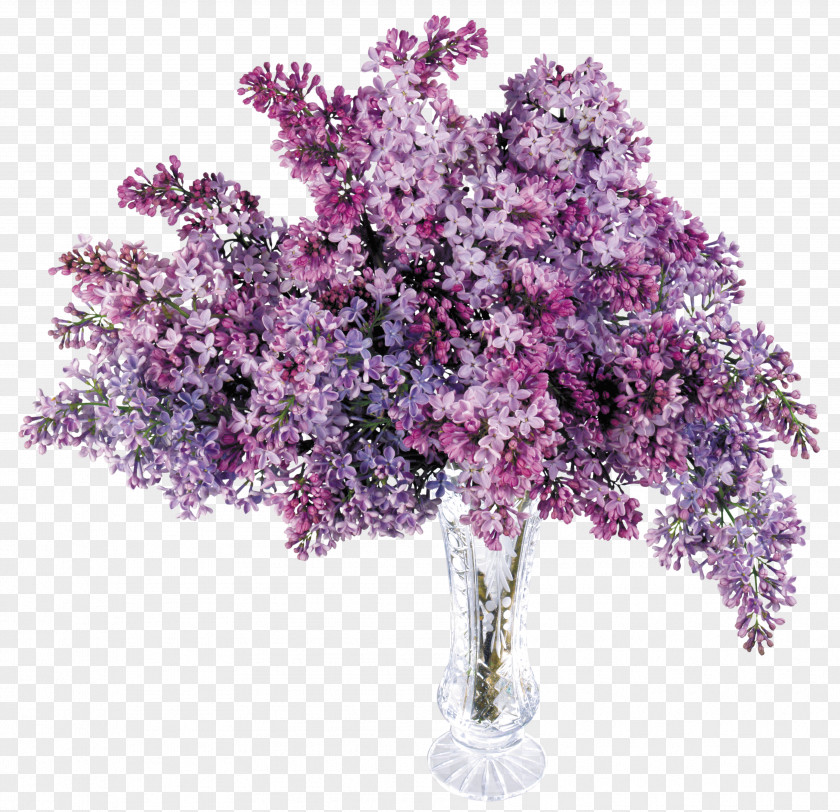 Transparent Vase With Lilac Picture Computer File PNG