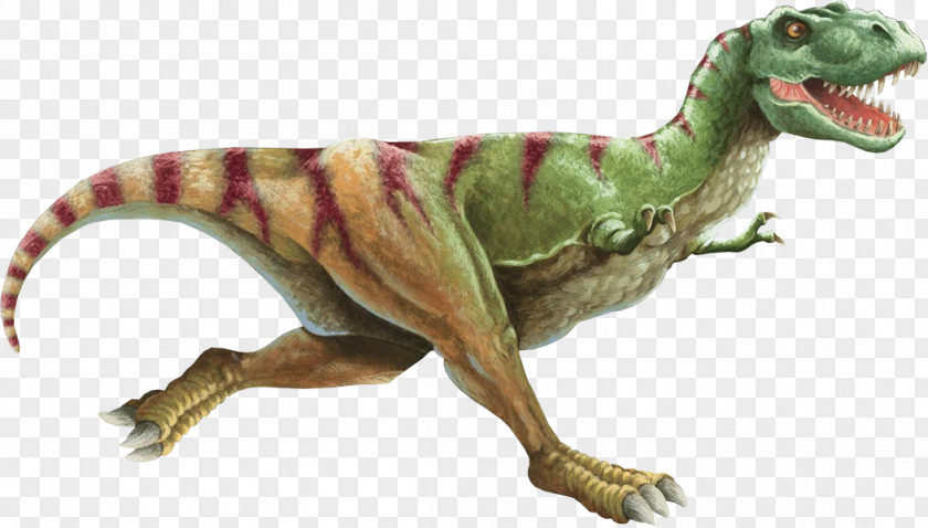 Dinosaur Tyrannosaurus Ian Malcolm Wall Decal Clip Art PNG