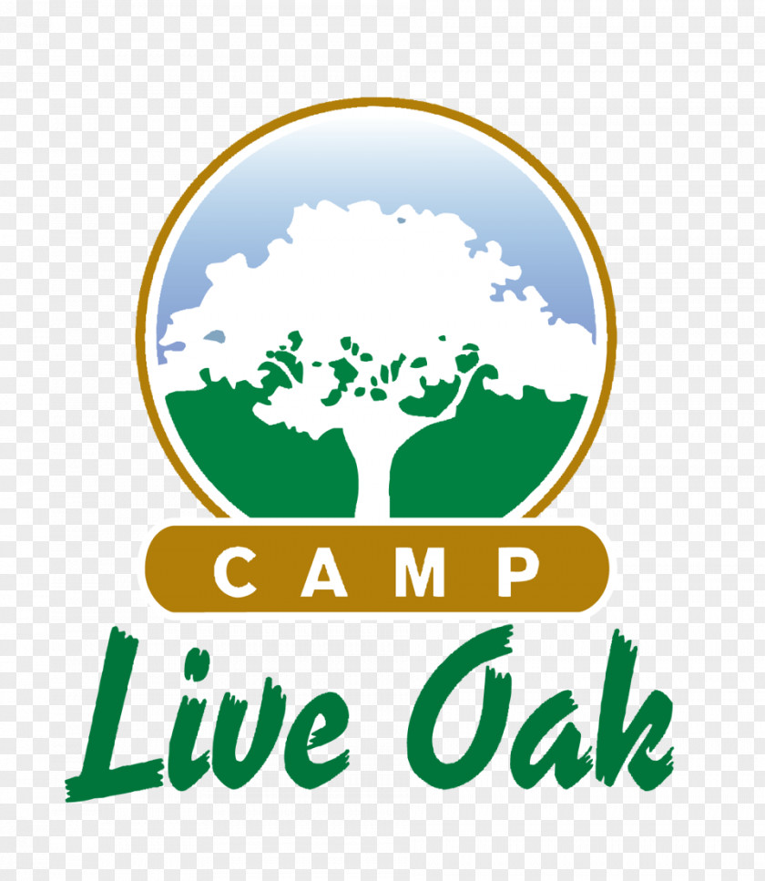 Fort Lauderdale Camp Live Oak Summer Day PNG