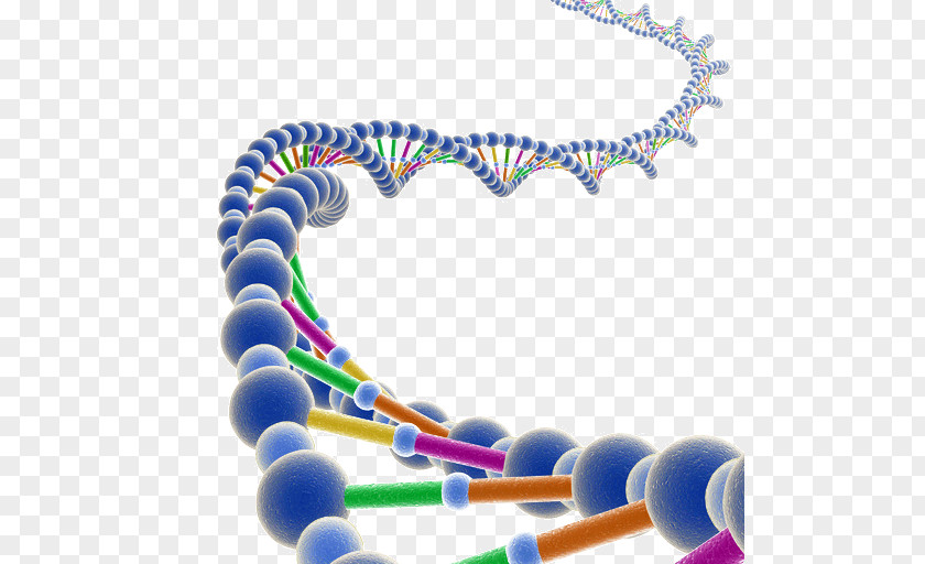 Genetic Testing DNA Molecule RNA Genome PNG