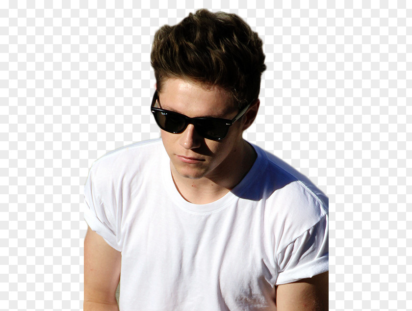 One Direction Mullingar Brown Hair Musician PNG