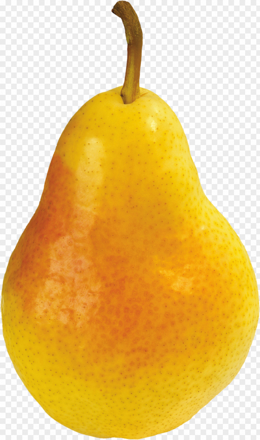 Pear Image Citron Asian Citrus Junos Tangelo Still Life Photography PNG