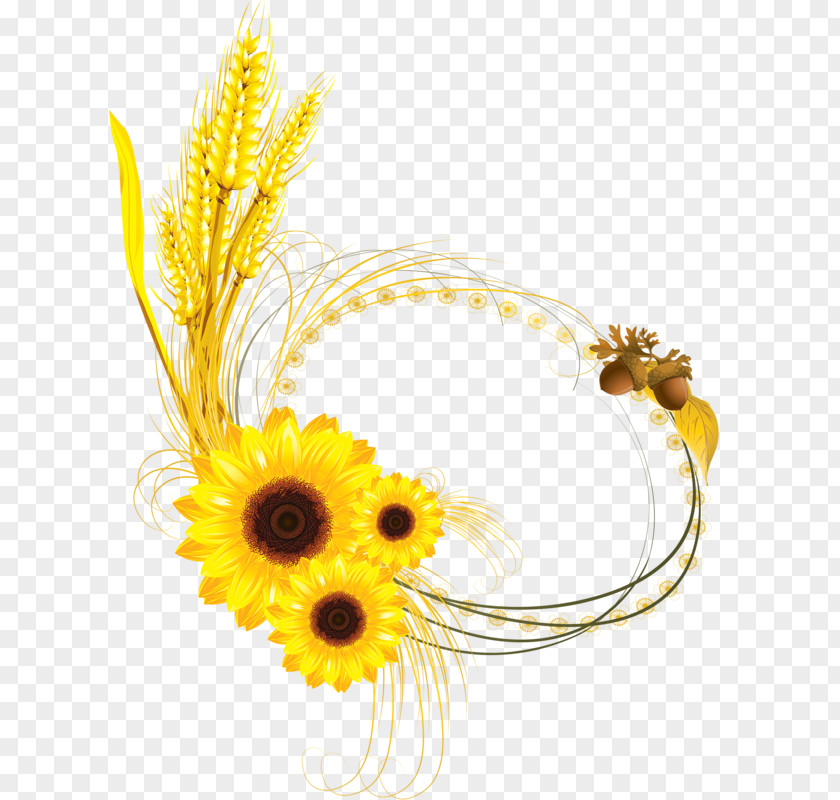 Wheat Yellow Border Common Sunflower Euclidean Vector Clip Art PNG