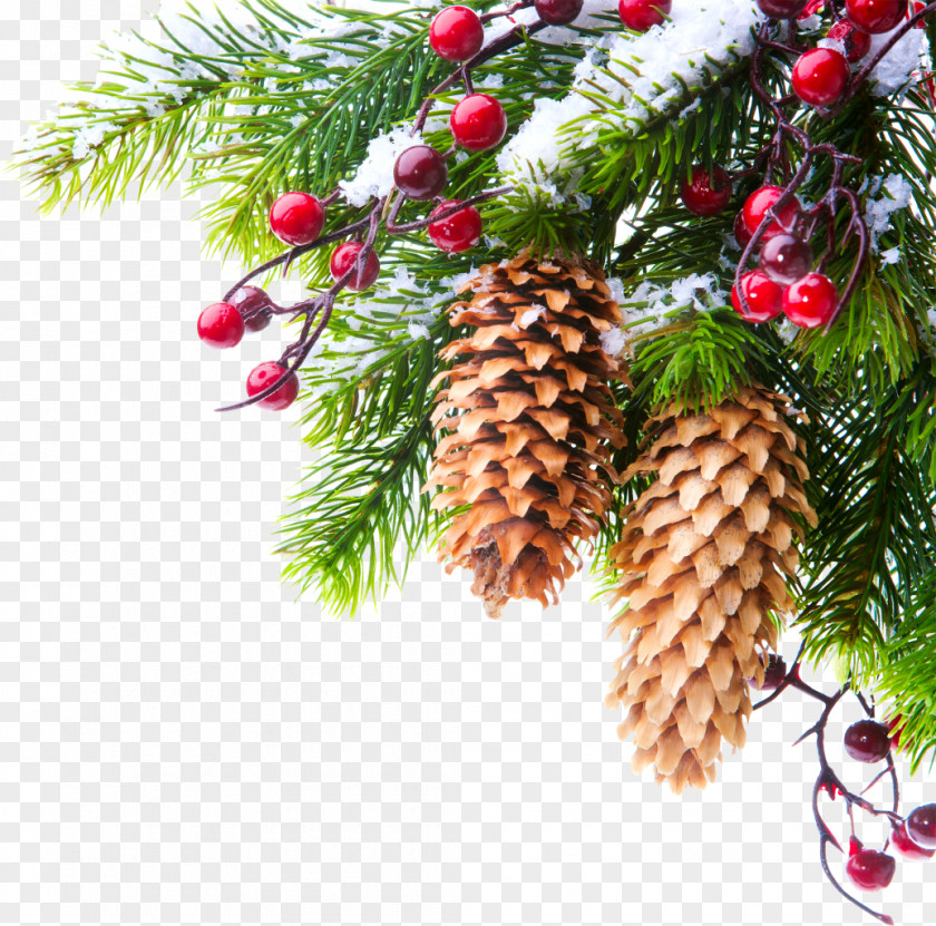 Creative Christmas Tree Branches January Kiev 0 New Year Holiday PNG
