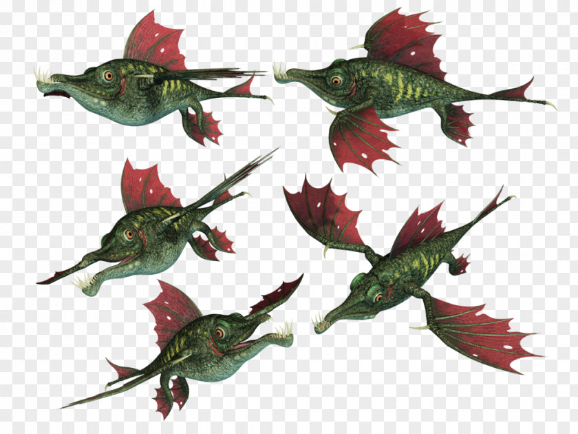 Creatures Flying Fish 3D Computer Graphics PNG