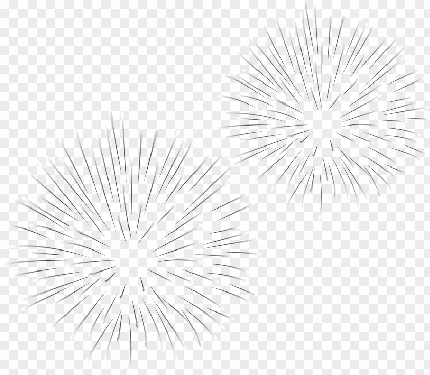 Fireworks White Black Pattern PNG