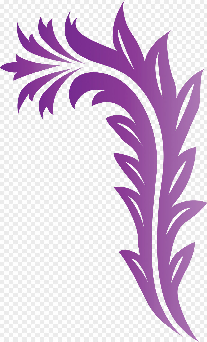 Flower Frame Floral Decoration PNG