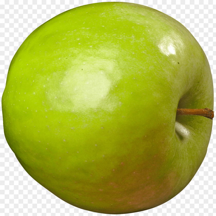 Granny Smith Gravenstein Apple Belle De Boskoop Honeycrisp PNG