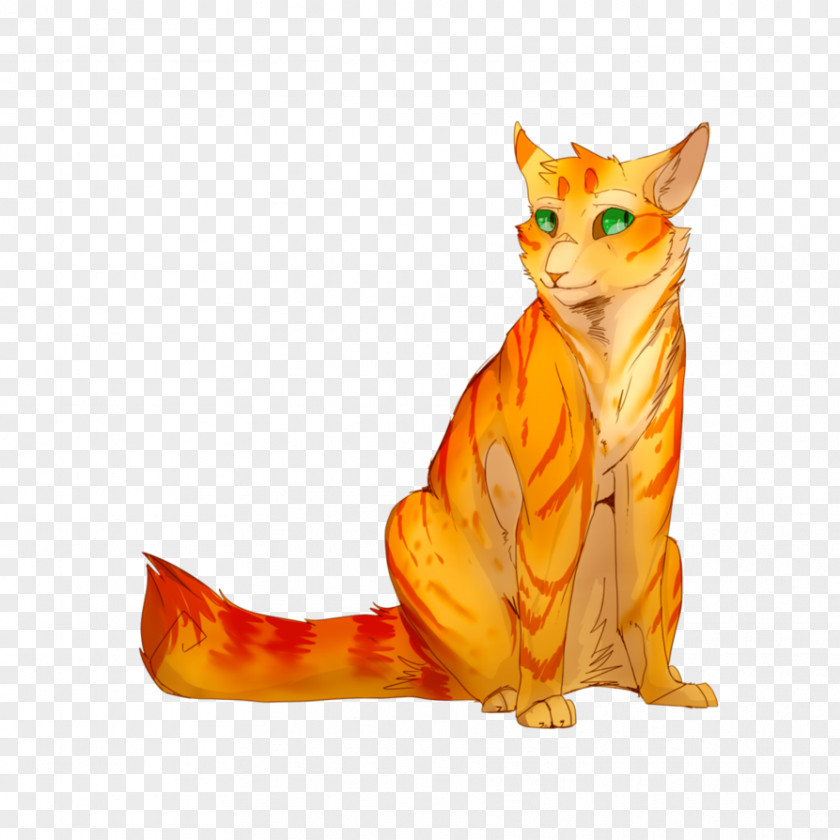 Kitten Whiskers Cat Into The Wild Warriors PNG