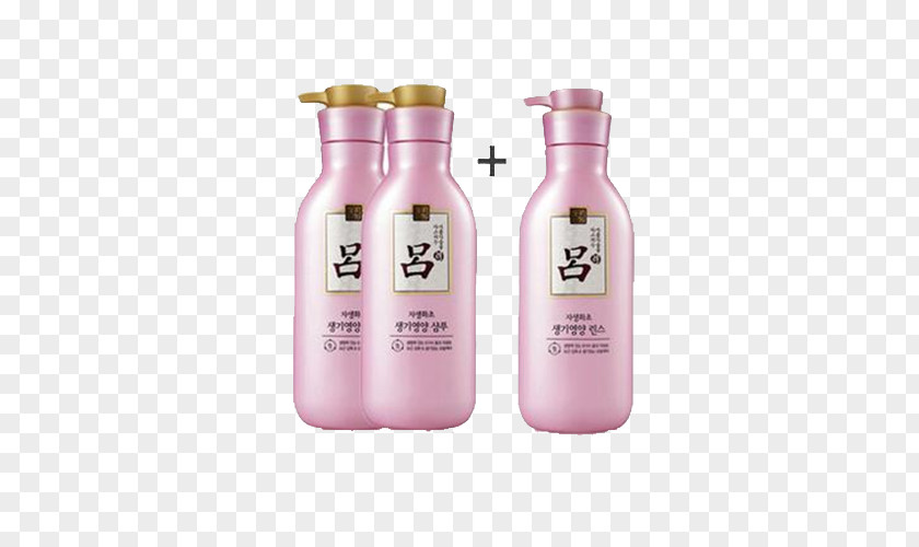 Powder Plus Shampoo South Korea Hair Conditioner PNG