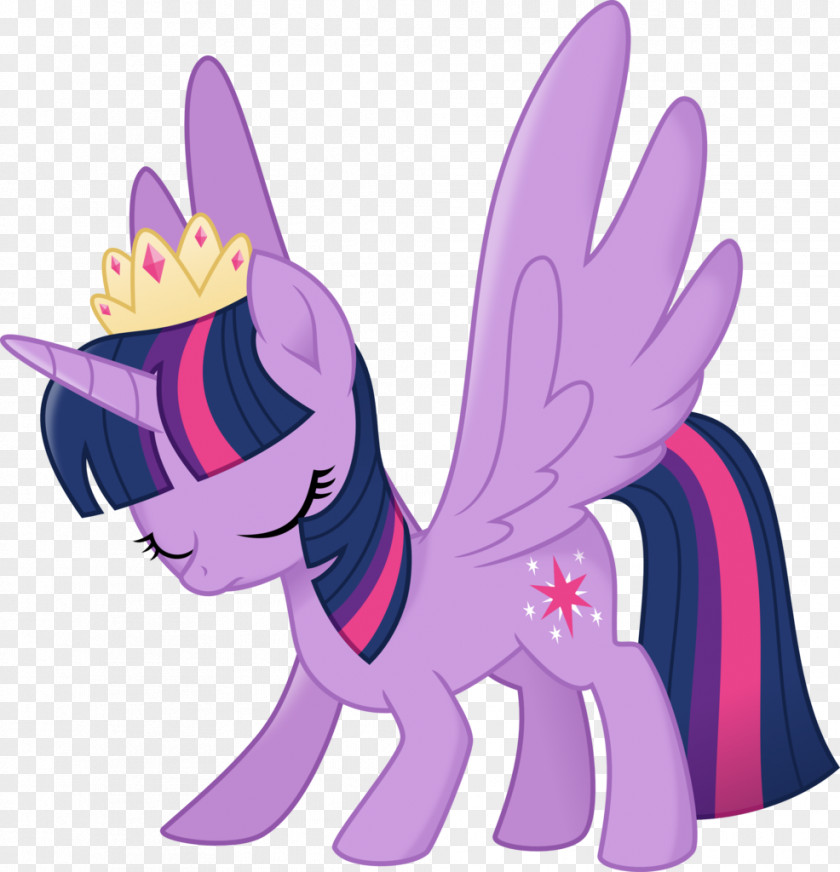 Princess Twilight Sparkle Pony Horse Pinkie Pie Rainbow Dash PNG