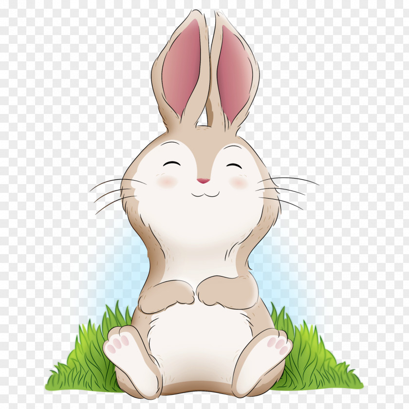 Rabbit Domestic Hare Easter Bunny Whiskers PNG