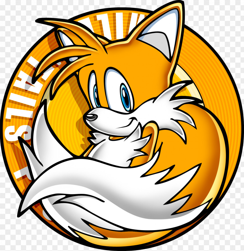 Tail Tails Sonic The Hedgehog Knuckles Echidna Video Game PNG