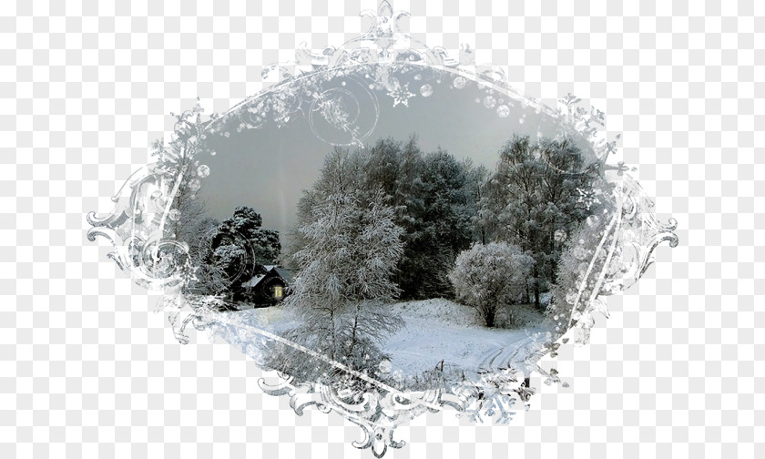 Tree Winter PNG