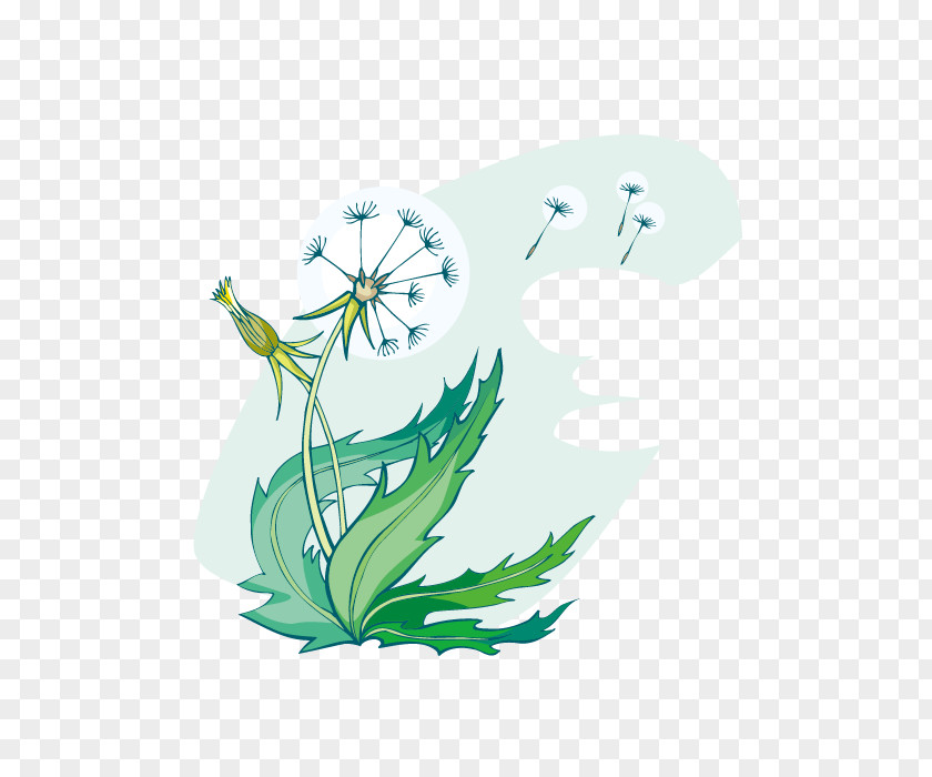 Vector Dandelion Common Anemophily Raster Graphics PNG
