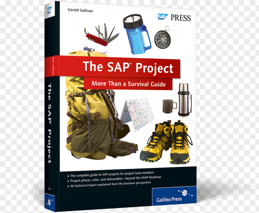 Westward Journey Online II The SAP Project: More Than A Survival Guide Surviving An Audit Project Management Team PNG