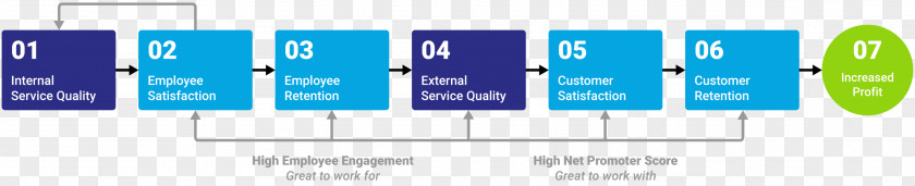 Business Harvard School Management Review System PNG