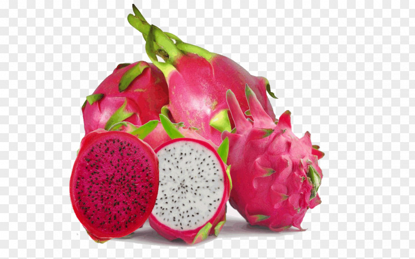 Dragon Fruit City Pitaya Hylocereus Undatus Food PNG