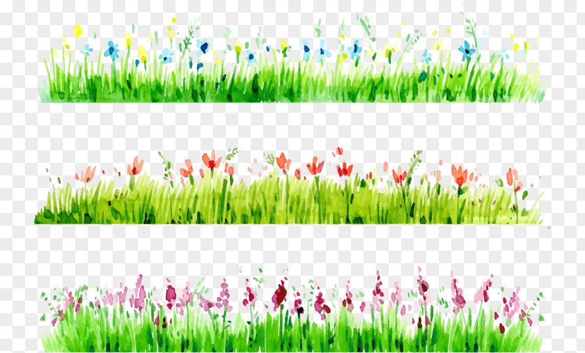 Grass Borders Watercolor Painting Download PNG