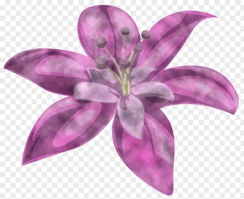 Lavender PNG